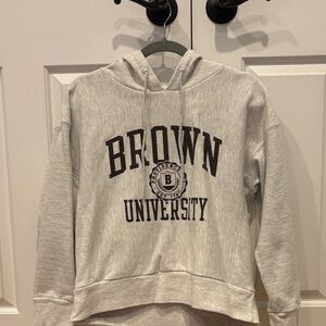 Gray Brown University Hoodie